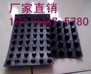 供应渭南屋面种植隔根板,渭南园林绿化排水板_建筑建材_世界工厂网中国产品信息库